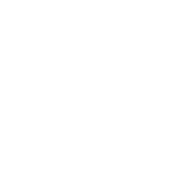 Proton Icon